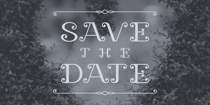 Vinya Font Poster 12