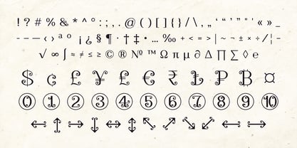 Vinya Font Poster 14