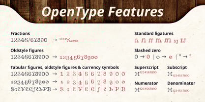 Vinya Font Poster 15