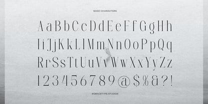 Furigale Font Poster 10