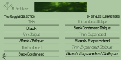 Regglid Sans Font Poster 7