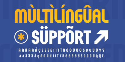 Maone Font Poster 11