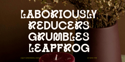Mecsicola Font Poster 9