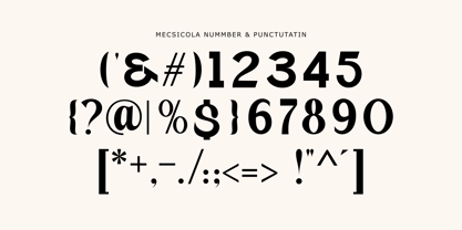 Mecsicola Font Poster 8
