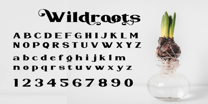 WildRoots Font Poster 2
