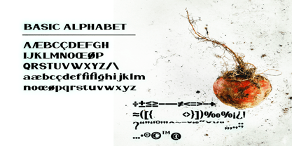 WildRoots Font Poster 4