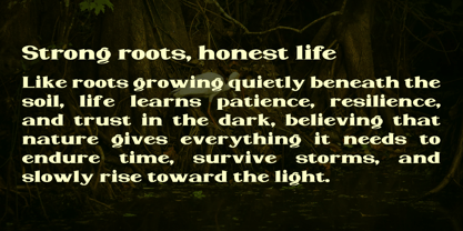 WildRoots Font Poster 6