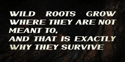 WildRoots Font Poster 3