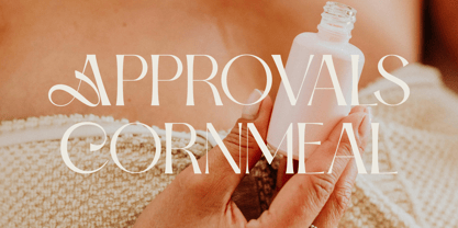 Dolmira Font Poster 6