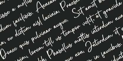 Antigritas Font Poster 4