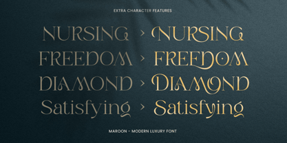 Maroon Font Poster 13