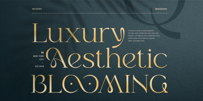 Maroon Font Poster 3