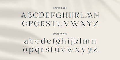Maroon Font Poster 11
