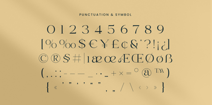 Maroon Font Poster 10
