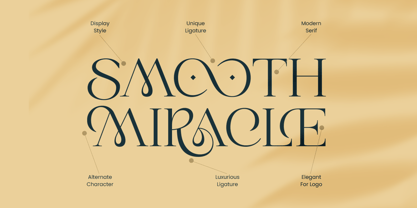 Maroon Font Poster 15