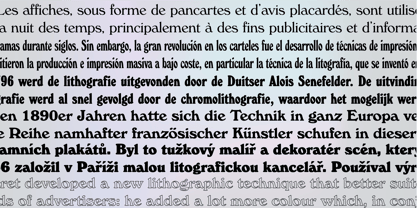 Windsor Font Poster 5