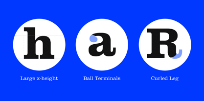 Clarendon Font Poster 6