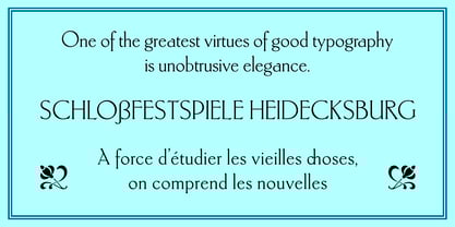 Ehmcke Elegance Font Poster 5