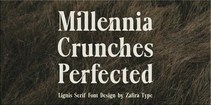Lignis Font Poster 9
