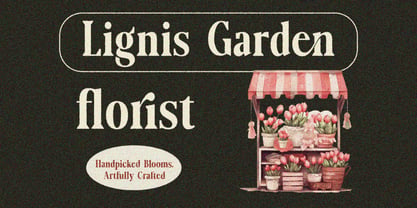 Lignis Font Poster 5