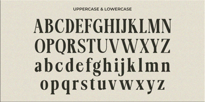 Lignis Font Poster 14
