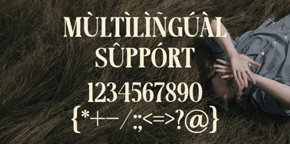 Lignis Font Poster 15
