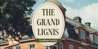 Lignis Font Poster 2