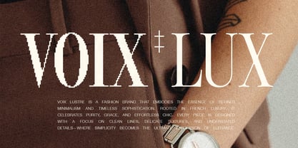 SLTF The Silver Editorial Font Poster 7