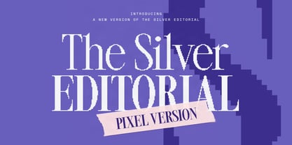 SLTF The Silver Editorial Font Poster 1