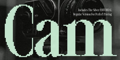SLTF The Silver Editorial Font Poster 9