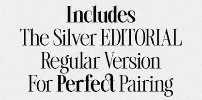 SLTF The Silver Editorial Font Poster 8