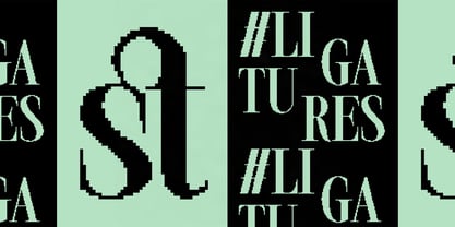 SLTF The Silver Editorial Font Poster 15
