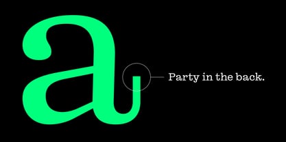 Reckham Font Poster 14