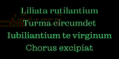 Reckham Font Poster 6