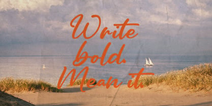 Dignetta Script Font Poster 5
