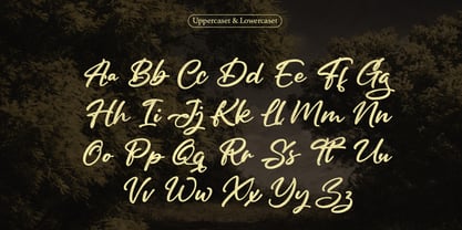 Dignetta Script Font Poster 3