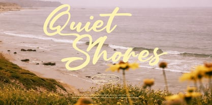 Dignetta Script Font Poster 8