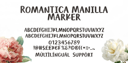 Romantica Manilla Font Poster 10