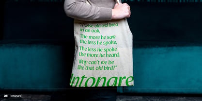 Intonare Font Poster 3