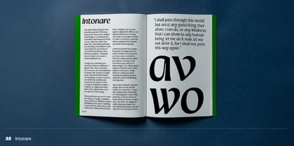 Intonare Font Poster 5