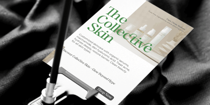 The Serifon Editorial Font Poster 11