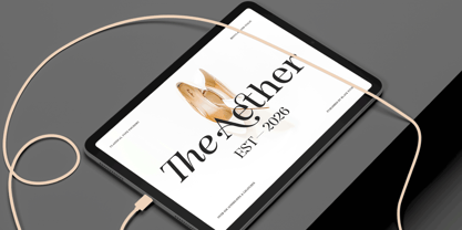 The Serifon Editorial Font Poster 13
