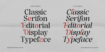 The Serifon Editorial Font Poster 3
