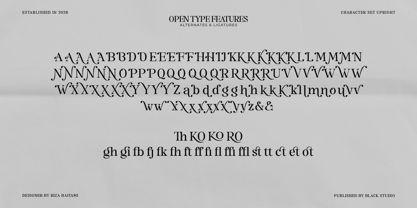 The Serifon Editorial Font Poster 15