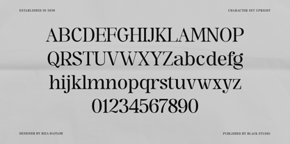 The Serifon Editorial Font Poster 14