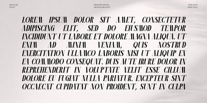 Moravine Font Poster 7