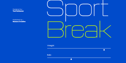 Sport Break Font Poster 15
