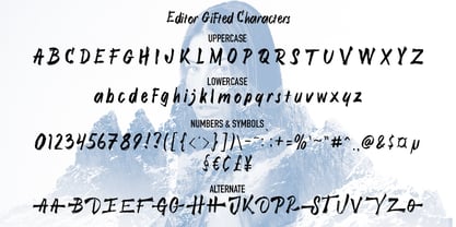 Maverick Strokes Font Poster 2