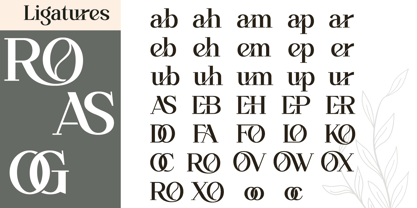 Overse Font Poster 11