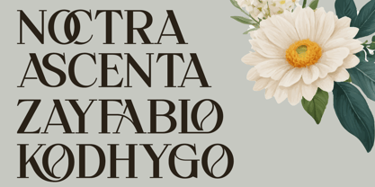 Overse Font Poster 4